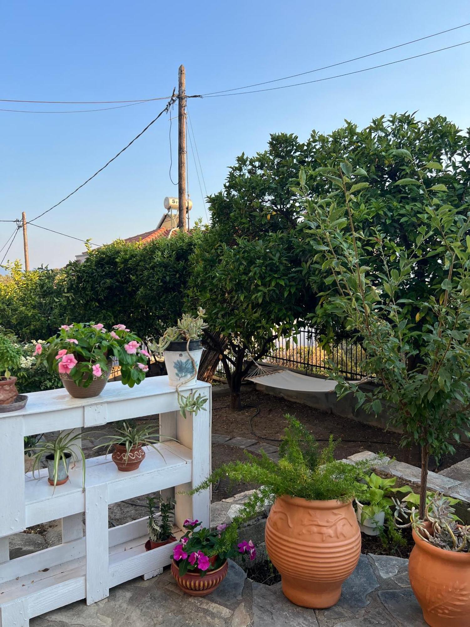 Aiolos Seaside Apartment Marathos  Zewnętrze zdjęcie